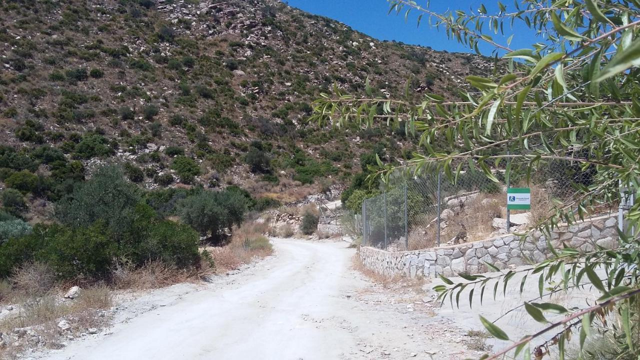 Bed & Breakfast Alegria Y Luna Bed and Breakfast Sorbas Esterno foto