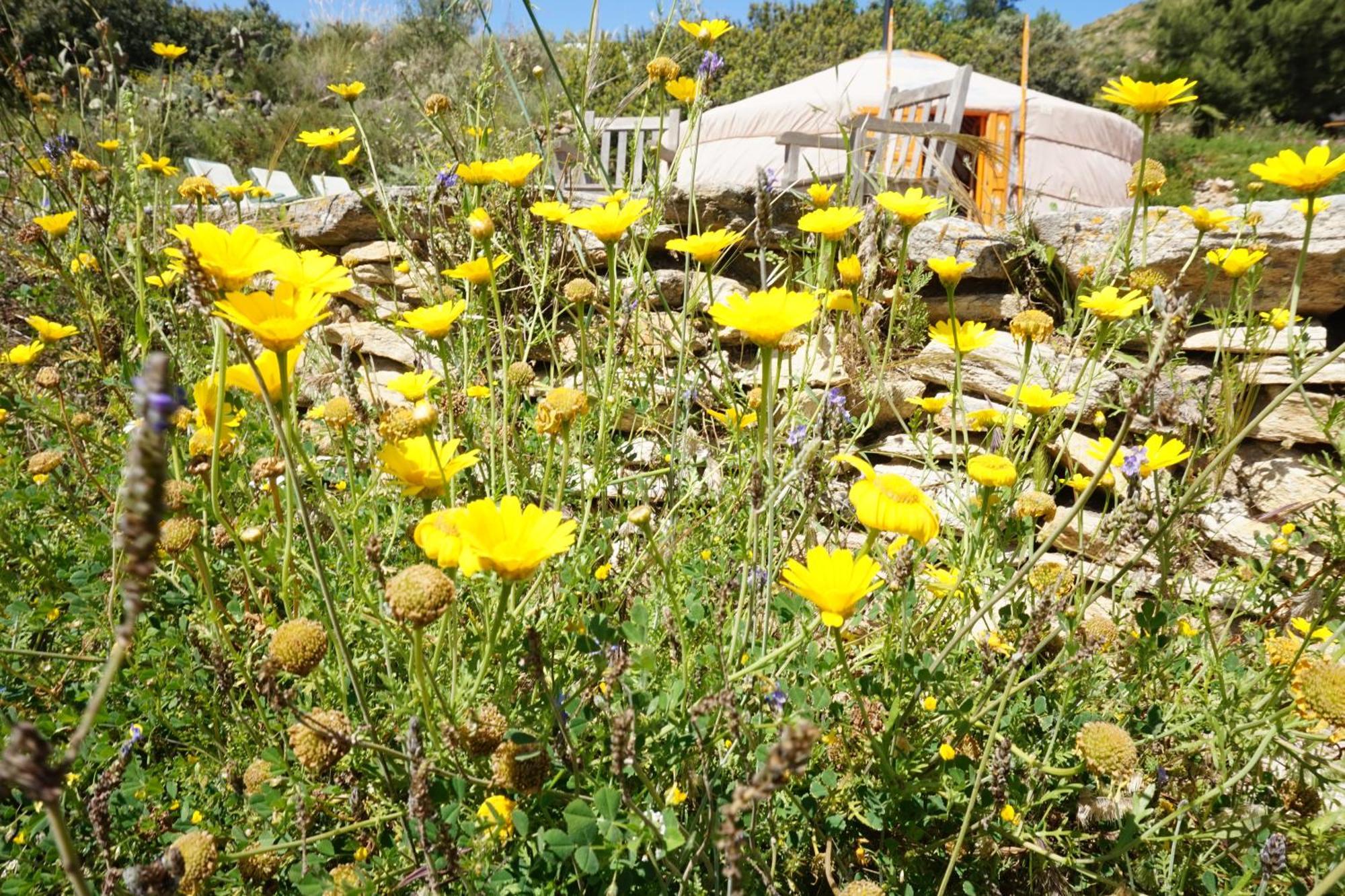 Bed & Breakfast Alegria Y Luna Bed and Breakfast Sorbas Esterno foto