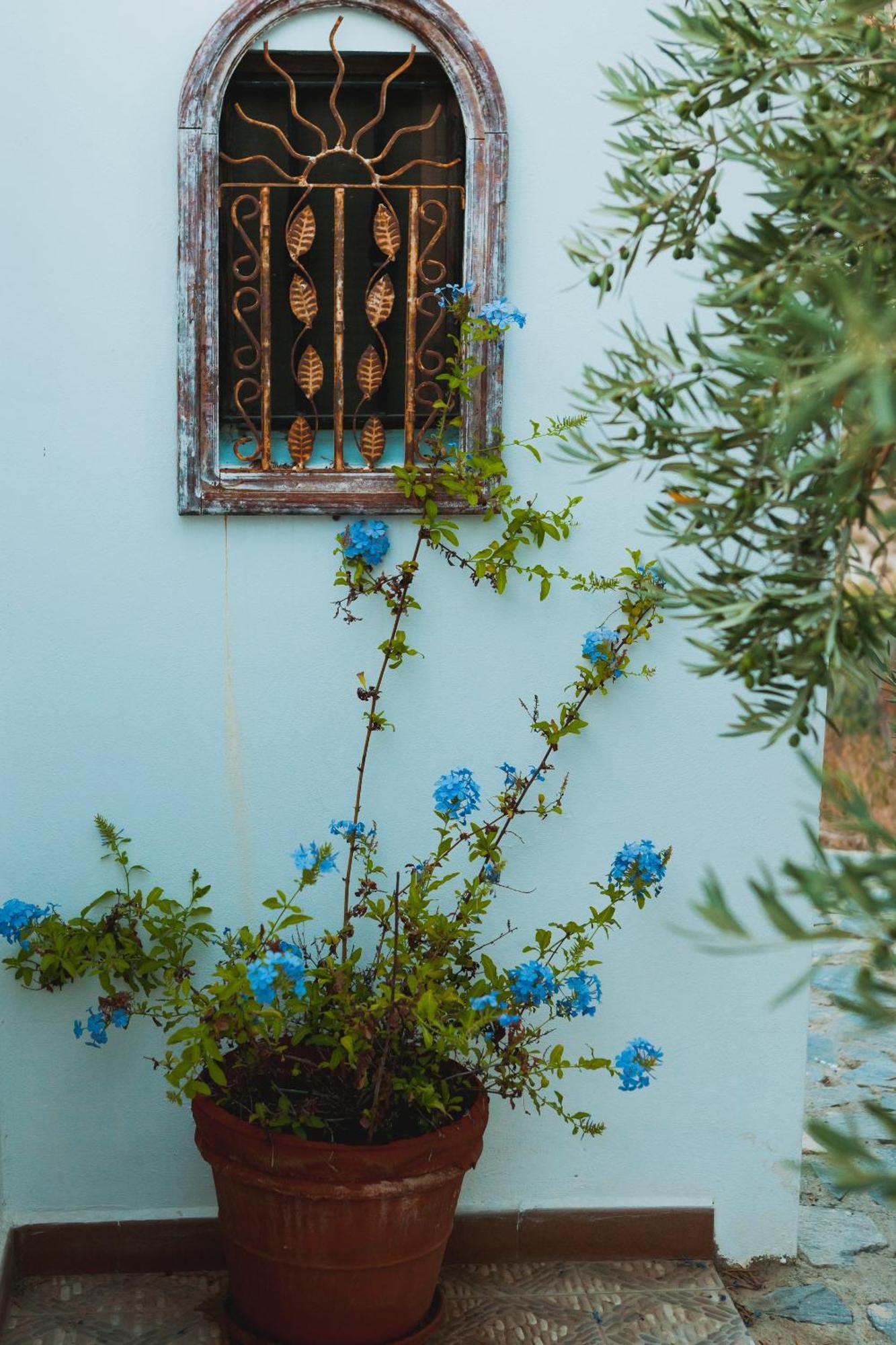 Bed & Breakfast Alegria Y Luna Bed and Breakfast Sorbas Esterno foto